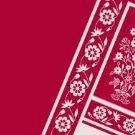 Zaŭvahi da pašparta "Novaj Bielarusi"